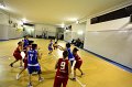 Basket 443056